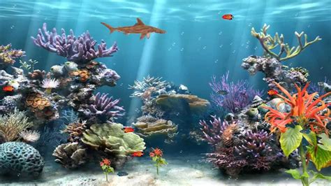 Animated wallpaper, animated wallpapers, anime wallpapers. Coral Reef Aquarium Animated Wallpaper http://www ...