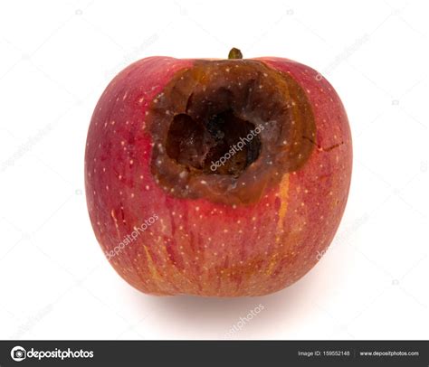 Rotten apple with a big hole on white background — Stock Photo ...