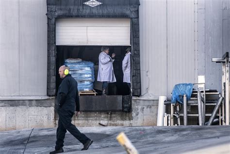 Workers at the northeast georgia poultry plant said they escaped through a fog of vaporizing liquid nitrogen that killed six of their coworkers, as an investigation continued friday into the cause of the leak at foundation foods. Foundation Food Group resumes operations as investigators ...