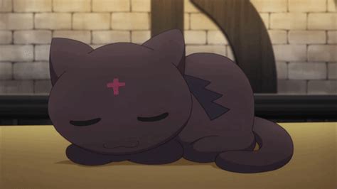 Sleeping Chomusuke Konosuba Ifttt2lzeswc Video Anime