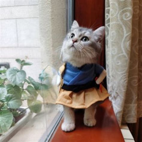 Funny Cat Clothes Cat Shirt Cat Dog Dressing Costume Suit Etsy