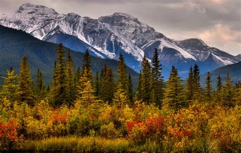Wallpaper Autumn Trees Mountains Canada Albert Banff National Park