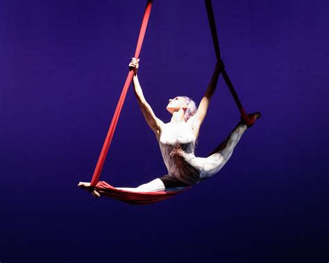 2022 2023 pro training program apply by may 1st aerial dance classes boulder frequent flyers