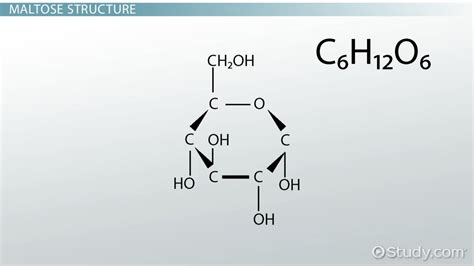 Chemical Equation For Sugar Water Tessshebaylo