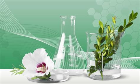 Premium Photo Cosmetic Science Holistic Plant Lab Organic Skin