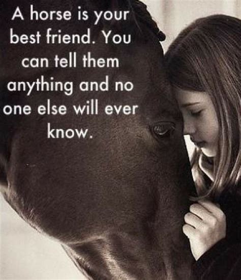 A Horse Is Your Best Friends Animals Quotes For You Paarden
