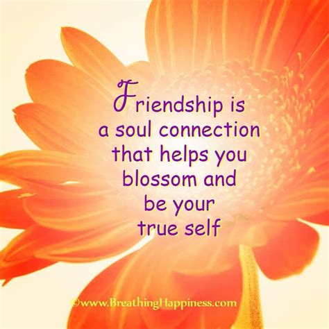 These friendship quotes show how special great friends truly are. Pin on Kindred Spirits