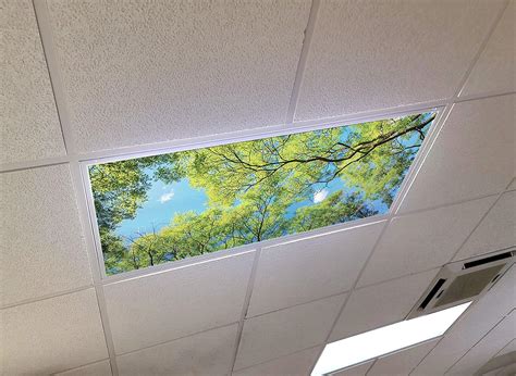 Decorative Drop Ceiling Light Covers Forest Canopy View 2ft X 4ft