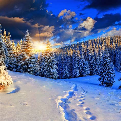 The Beauty Of Winter Winter Scenes Amazing Sunsets Winter Pictures