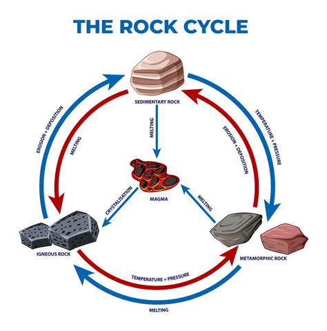 Rock Cycle Igneous Rock Metamorphic Rock Sedimentary Rock