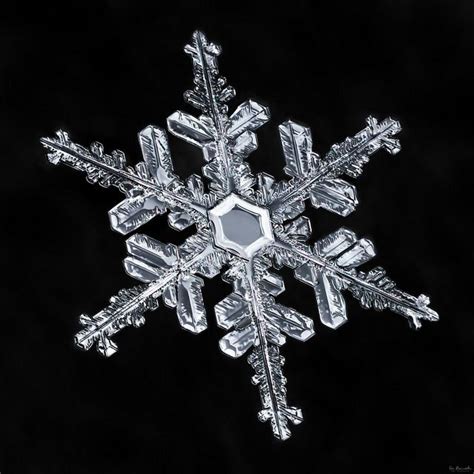 Snowflake A Day 30 Snowflake Images Snowflakes Snow Crystal