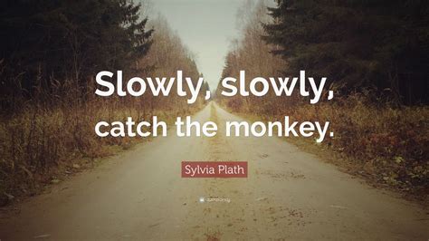 Sylvia Plath Quote “slowly Slowly Catch The Monkey” 12 Wallpapers