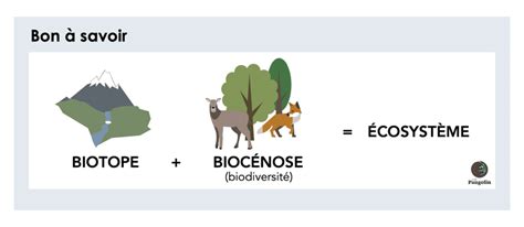 Pourquoi Et Comment Préserver La Biodiversité Le Guide