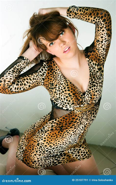 Brunette In A Leopard Dress Stock Image Image Of Tempt Twenty