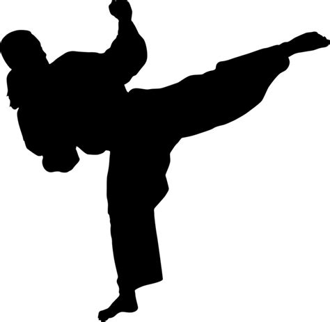 336 Best Karate Images On Pinterest Marshal Arts Shotokan Karate And