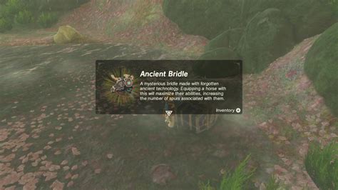 Where To Find The Ancient Bridle And Saddle In Zelda Breath Of The Wild