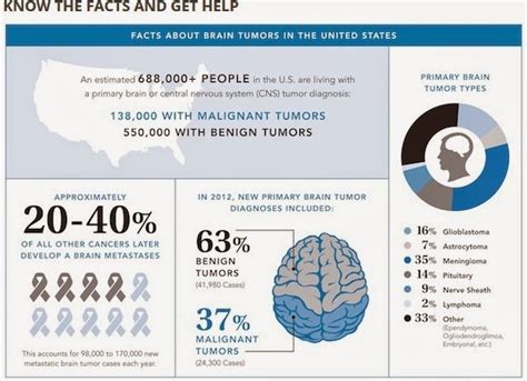 Johns Tumor Brain Tumors Basics
