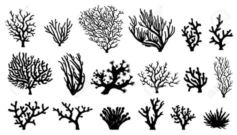 Silhouettes De Corail Sur Le Fond Blanc Coral Tattoo Silhouette