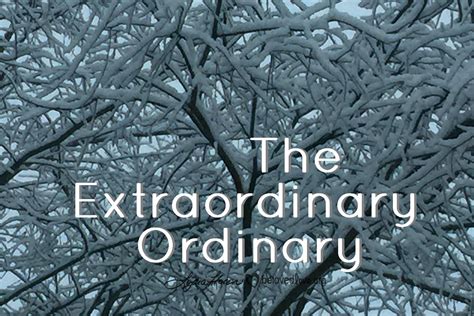 The Extraordinary Ordinary - Belovedlove