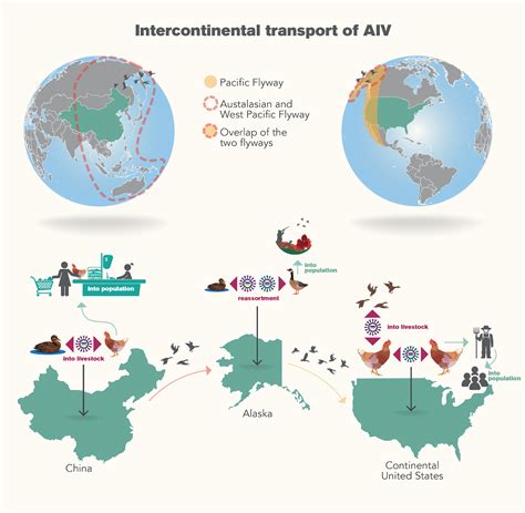 Asu Researcher Evaluates Impact Of Climate Change On Avian Flu Asu News