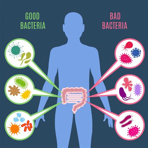 Probiotics 101 How They Work Health Benefits Side Effects And More