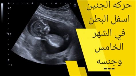 حركة الجنين اسفل البطن في الشهر الخامس وجنسه