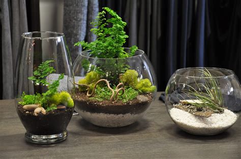 We provide aggregated results from multiple sources and sorted by user interest. Light Bulb Terrarium DIY Ideas | Inhabit Zone