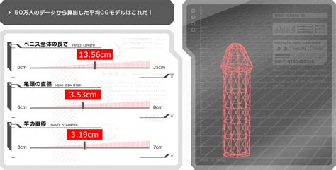 日本人の平均ペニスサイズはトイレットペーパーの芯より太い？ Steron