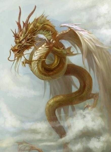 Are There Any ‘western Style 4 Legs And Wings Dragons