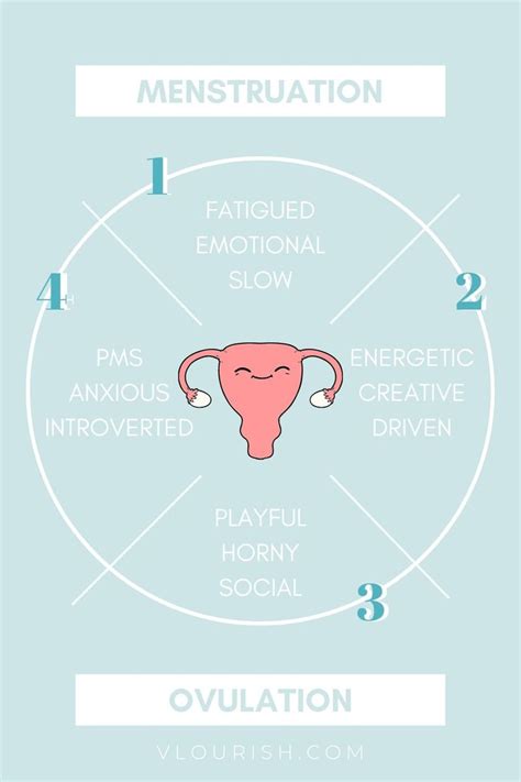The 4 Phases Of The Menstrual Cycle Menstrual Cycle Menstrual Health Feminine Health