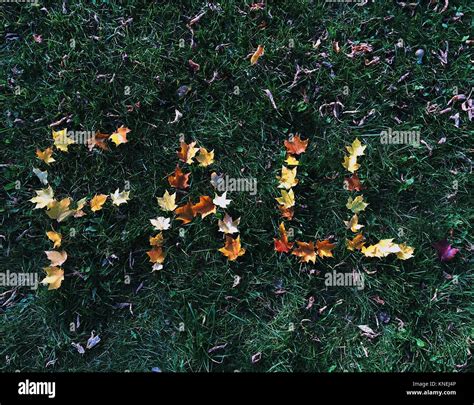 Fall Word High Resolution Stock Photography And Images Alamy