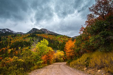 American Fork Canyon In The Fall Utah Photographers Guide