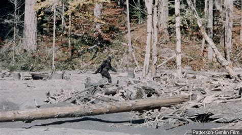 Pennsylvania Named Third Best Place To Find Bigfoot