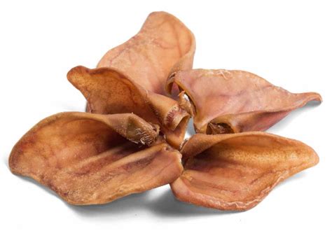 Yes, puppies can have pig ears. Pigs Ears - Standard 40g | Finer By Nature