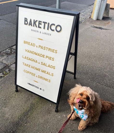BAKETICO - Our cute furry friend @pawfect_pebbles loved... | Facebook