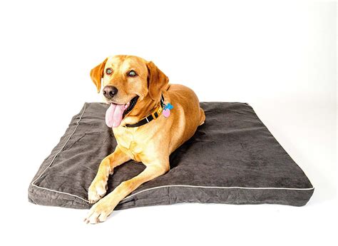 Maybe you would like to learn more about one of these? Pin on Dog beds