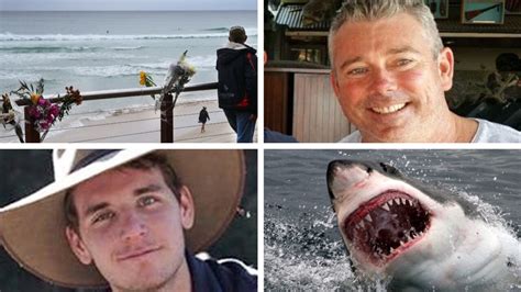 Shark Attacks Qld Australia Highest In Global Study By University Of