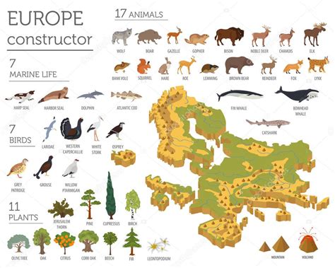 Dibujos Flora Y Fauna De Europa Fauna Y Flora Europea 3d Isométrico