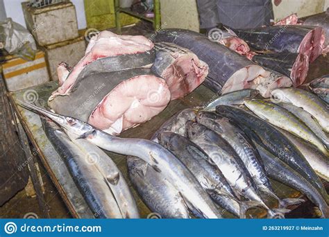 Fresh Tuna Fish And Others Offered At The Central Market Stock Image