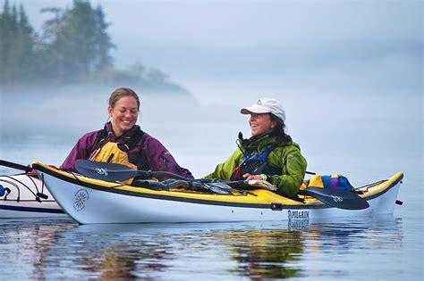 Johnstone Strait And Broughton Archipelago Expedition In Bc Vancouver