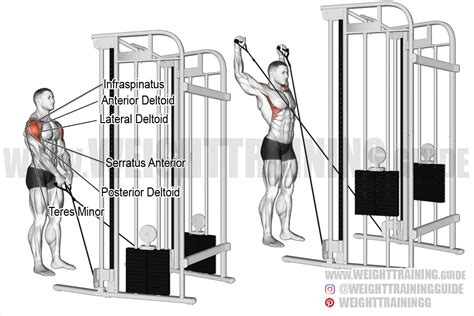 Cable Y Raise Exercise Instructions And Video Weighttrainingguide