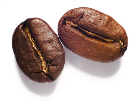 gambar makanan menghasilkan coklat padi padian rasa biji kopi