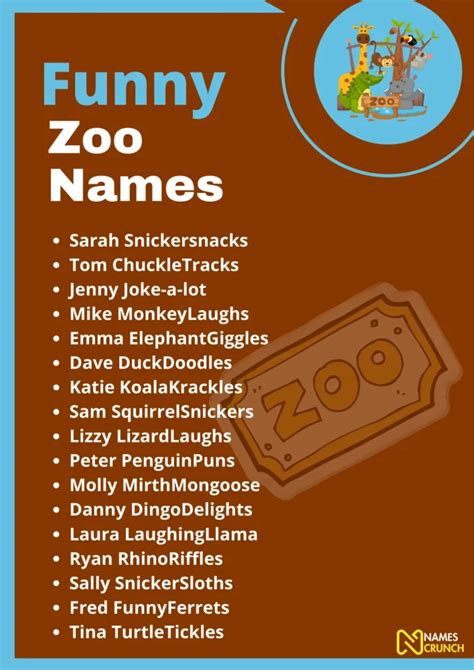 120 Funny Zoo Names Ideas And Suggestions Names Crunch