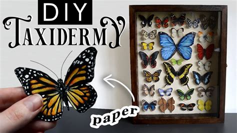 Diy Faux Victorian Inspired Butterfly Taxidermy Crafted From Paper