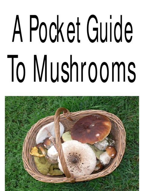 A Pocket Guide To Mushrooms