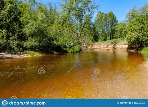 Calm River With Reflections Of Trees In Water In Bright