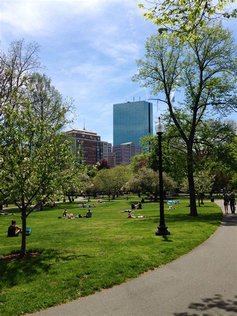 Springtime Walk In The Park And Garden Boston Back Bay Boston Blossoms