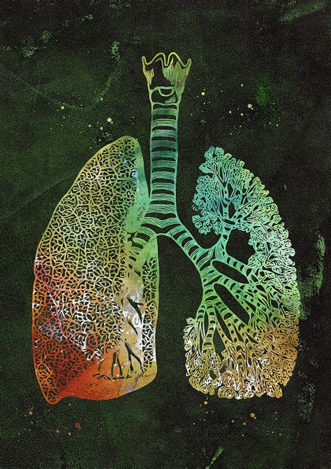 Lungs Art Digital Art By Erzebet S Fine Art America