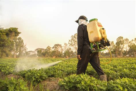 Pesticide Training The Jungle Ni