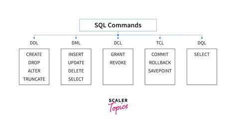 Dml Commands In Sql Scaler Topics